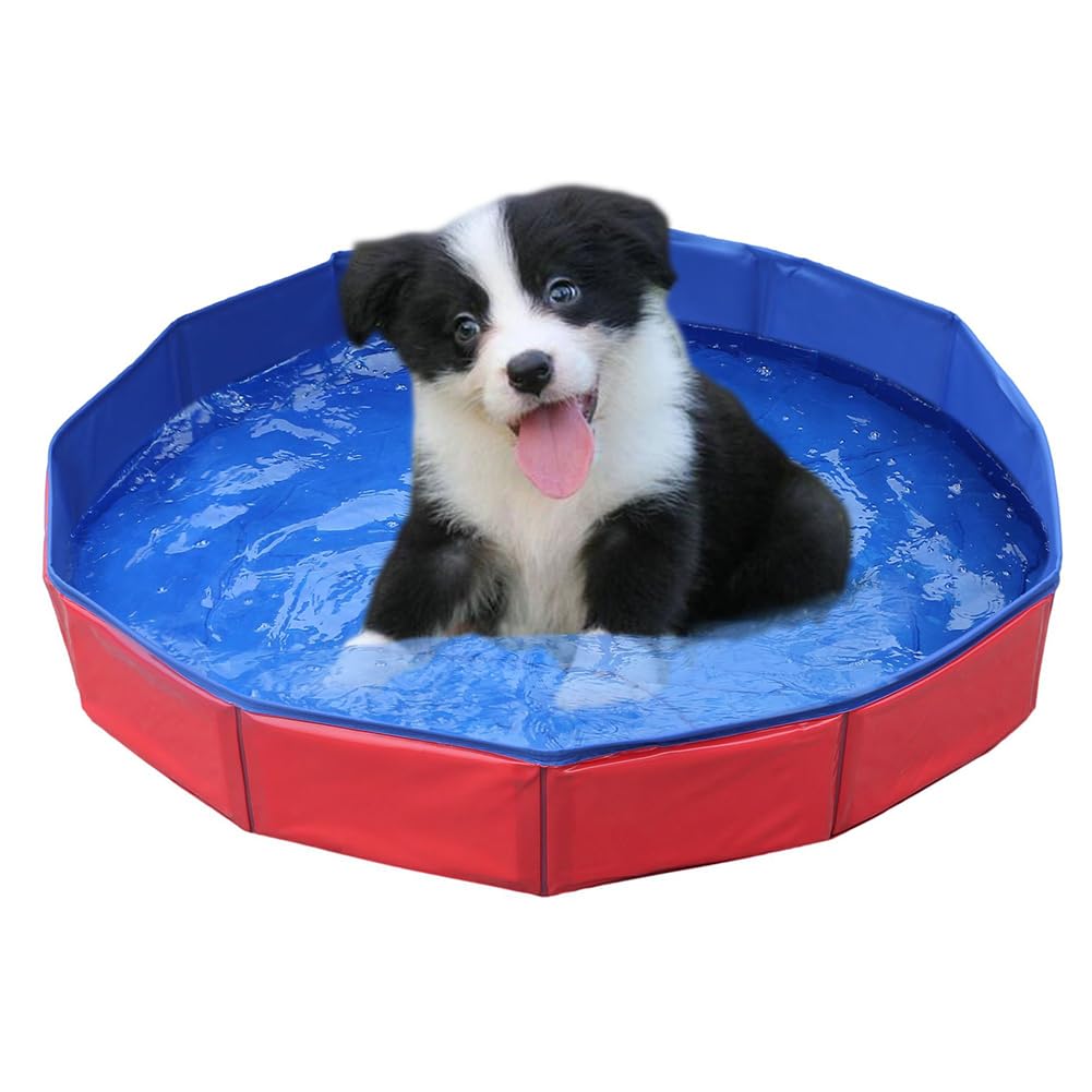 Piscine Chien Petit,50x8cm Piscine pour Animaux,PVC Piscine pour Chien,Bassin de Baignade pour Chats,pour Animaux,Enfants,1 pièce