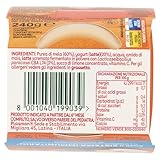 Zoom IMG-1 plasmon merenda mela e yogurt Zoom IMG-1 plasmon merenda mela e yogurt