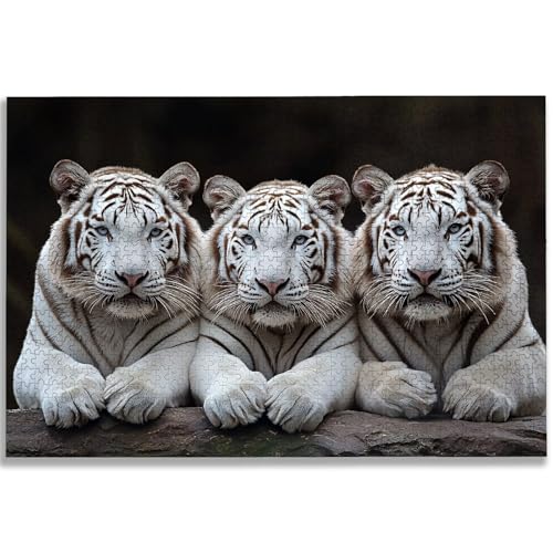 1000s[X WO\[pY ՁAl ؐpY A1000s[X (75x50 cm)Al   ƑŊy߂肪̂Q[AWooden Puzzles Q[iCgACeAAMtgɍœKA-1756