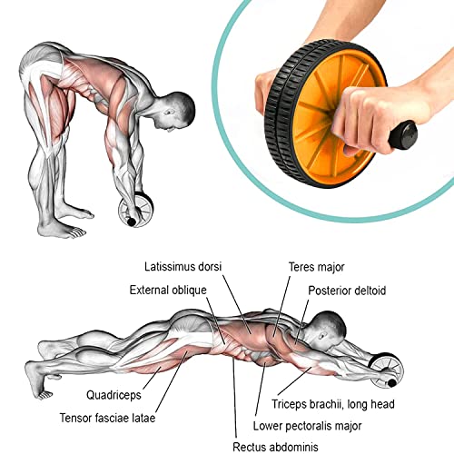 Image of LEAFED Premium Ab Wheel Roller with Knee Mat | Stainless Steel Anti-Rust Rod | Core & Abs Workout Equipment for Men & Women | Home Gym Fitness Roller (Up to 100 Kg) Yellow /Black