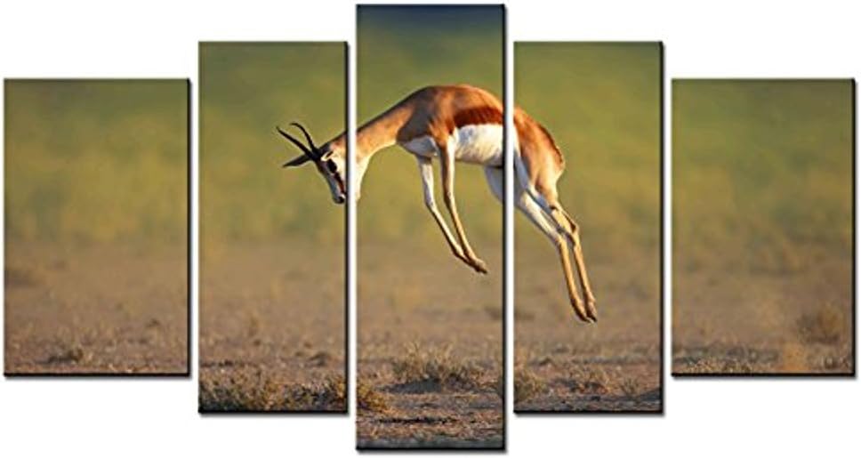 MOKEN LAN Animal Series 5 piece Paintings Running Springbok Jumping High Antidorcas Marsupialis Kalahari South Africa Picture Home Decor Wall Art Modern Painting For Room