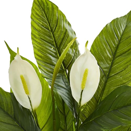 Nearly Natural 26” Spathiphyllum Artificial (Real Touch) Silk Plants Green - Image 3