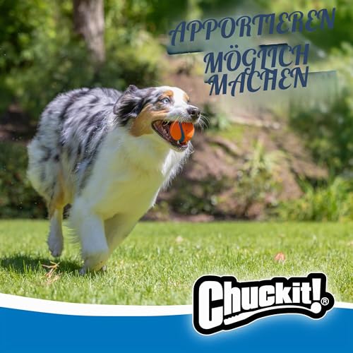 Chuckit! CH170015 Ultra Ball Medium 1-er Pack Multicolor
