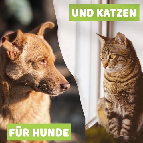 Prontocare-Vet Ohrenreinigungs-Pads für Hunde und Katzen 100 STK. | zuverlässige Pflege & Schutz - Fingerpads zur Ohrenreinigung und Hygiene bei Ohrenentzündungen.