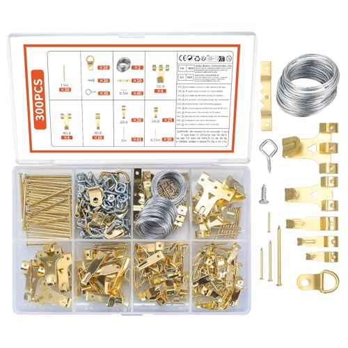 300 Pièces Crochets en Métal pour Cadre Photo, Kit de Accroche Suspension de Tableaux, avec Vis, Clous, Anneau en D, œil à Vis, Câble Acier