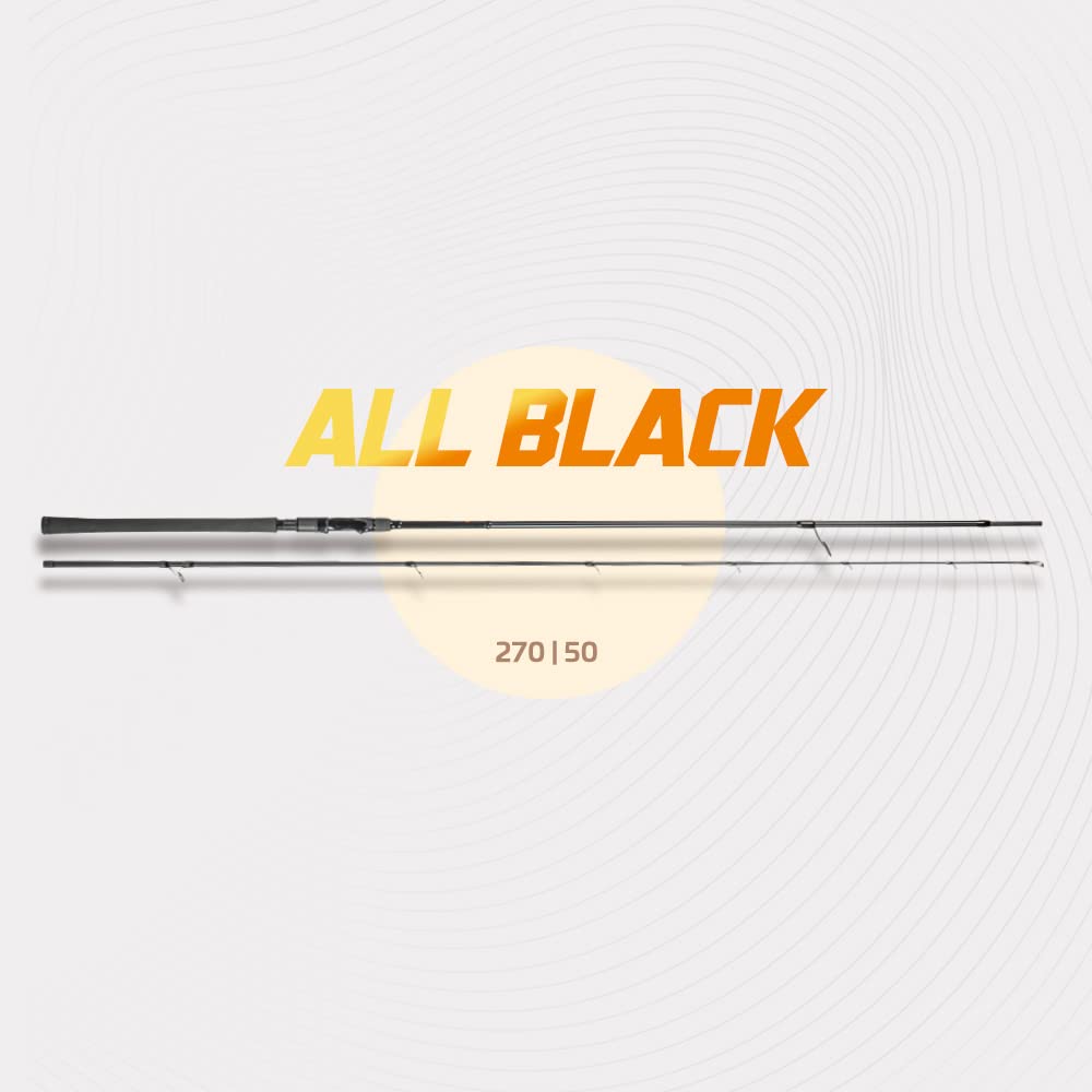 Zeck All Black Spinnrute 2,70m 50g - Jigrute zum Spinnfischen auf Zander, Angelrute zum Zanderangeln & Hechtangeln, Zanderrute