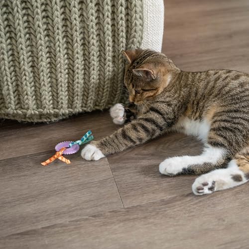Catstages Kitty Chew Wheel - Katzenspielzeug mit Katzenminze - Gummiring für die Zahnpflege