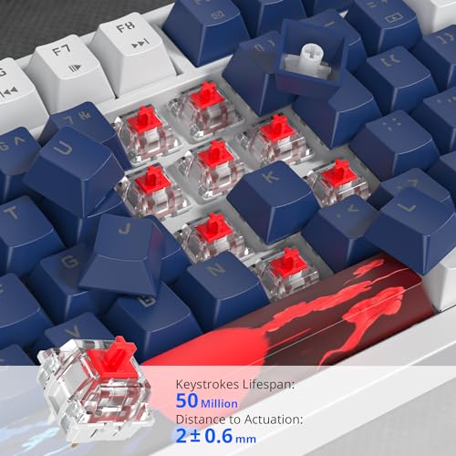 Image of 75% Mechanical Gaming Keyboard, Hot Swappable RGB Backlit Custom Keyboard with Knob, Gasket Mount USB Wired, 82 Keys White Blue Linear Red Switch (82 White Blue)