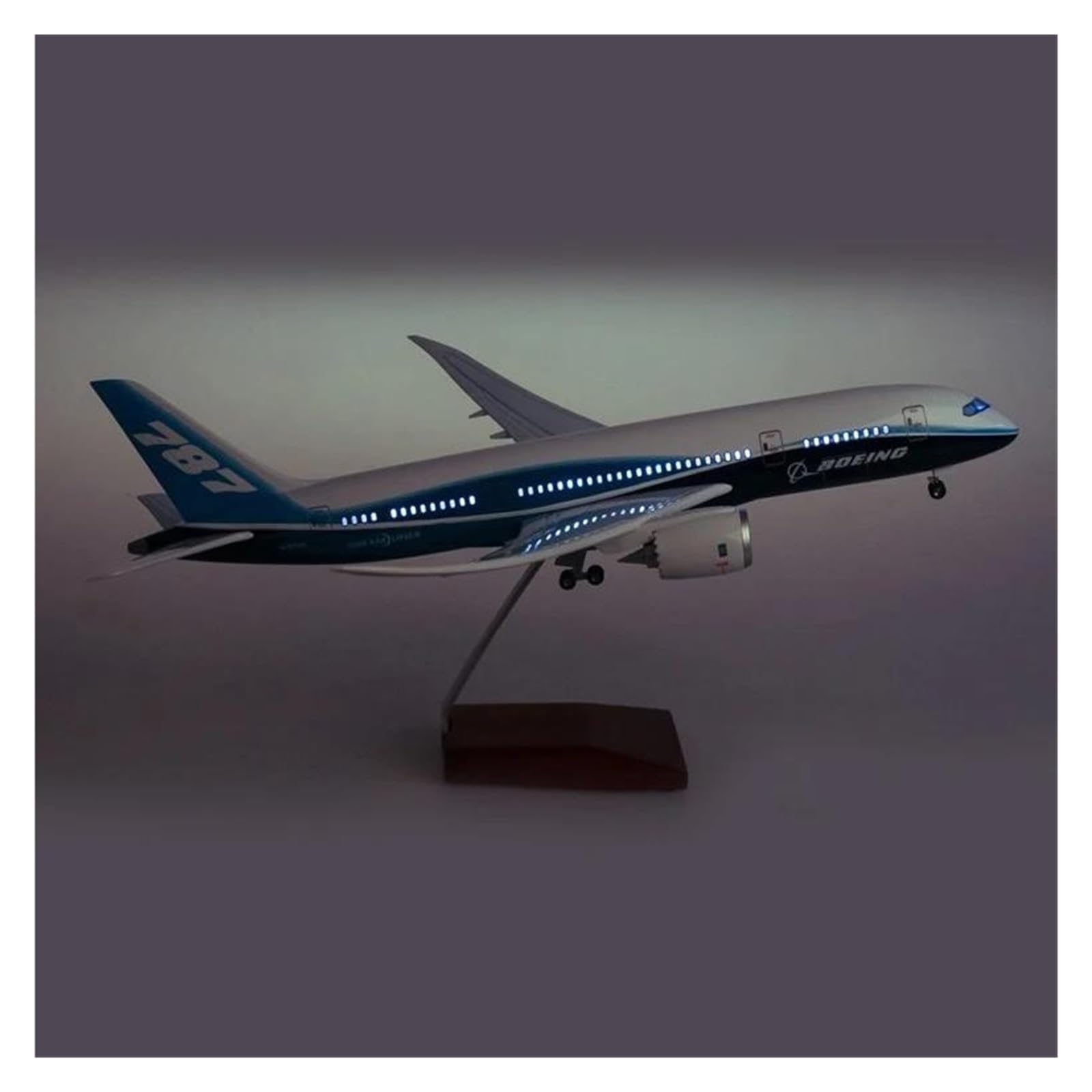 Skala samolotu 1/160 dla Boeinga 787 Model samolotu Model samolotu Model samolotu z żywicy odlewanej Model samolotu Dekoracyjne pamiątki Nadaje się do wyświetlania (bez światła)