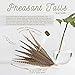 Pheasant Tail Feather Craft Supplies - 14-18