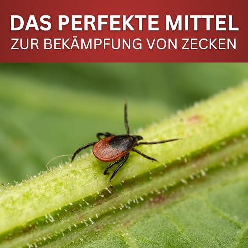 BIODELTA Zeckenspray - Zecken effektiv bekämpfen - Anti-Zecken-Spray für Outdoor-Aktivitäten - Zeckenschutz Spray mit Langzeitschutz - Ideal für Wandern, Camping & Garten (500 ml) (39,90 Euro/L)