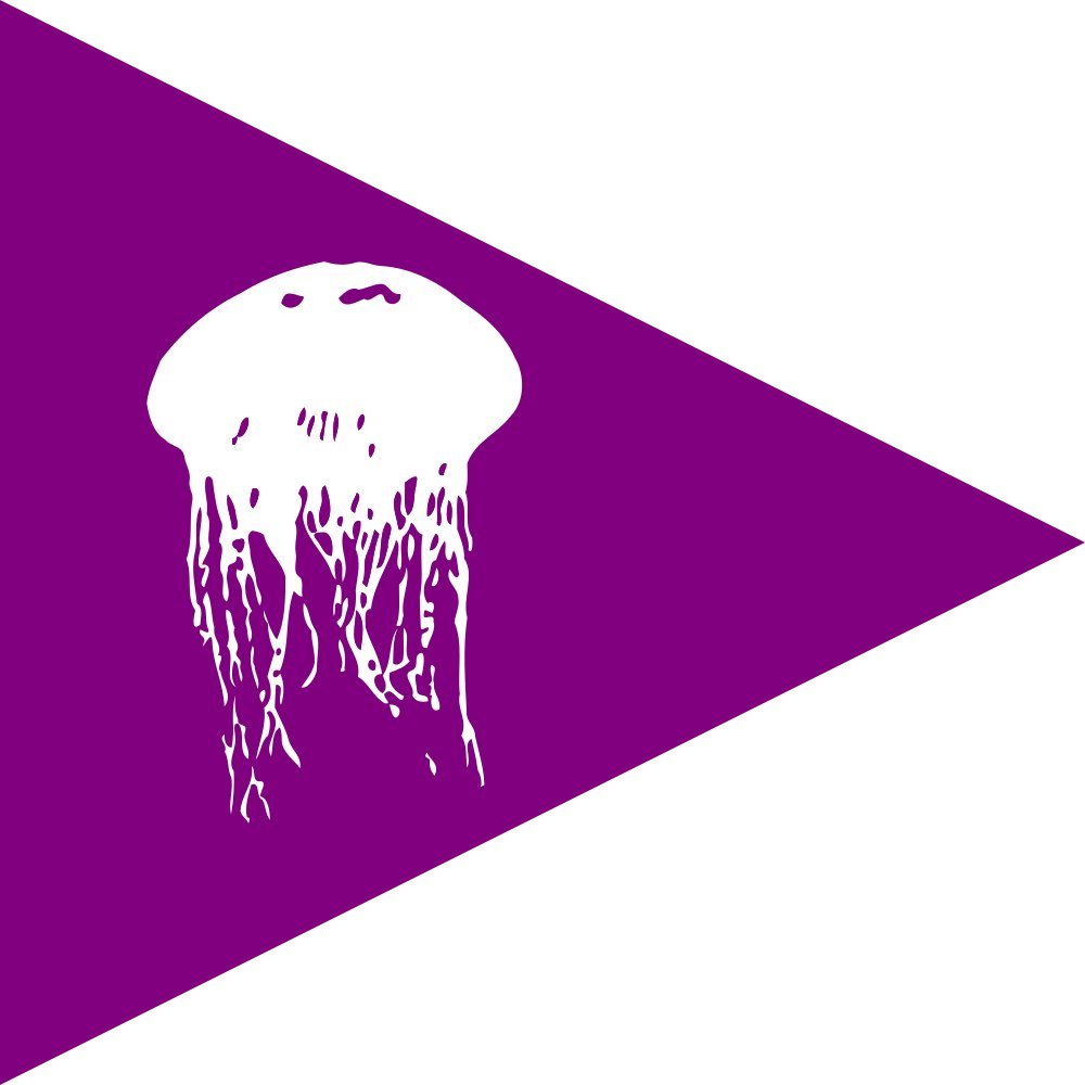 Jellyfish Beach Flag grand drapeau voile pour plage et exterieur