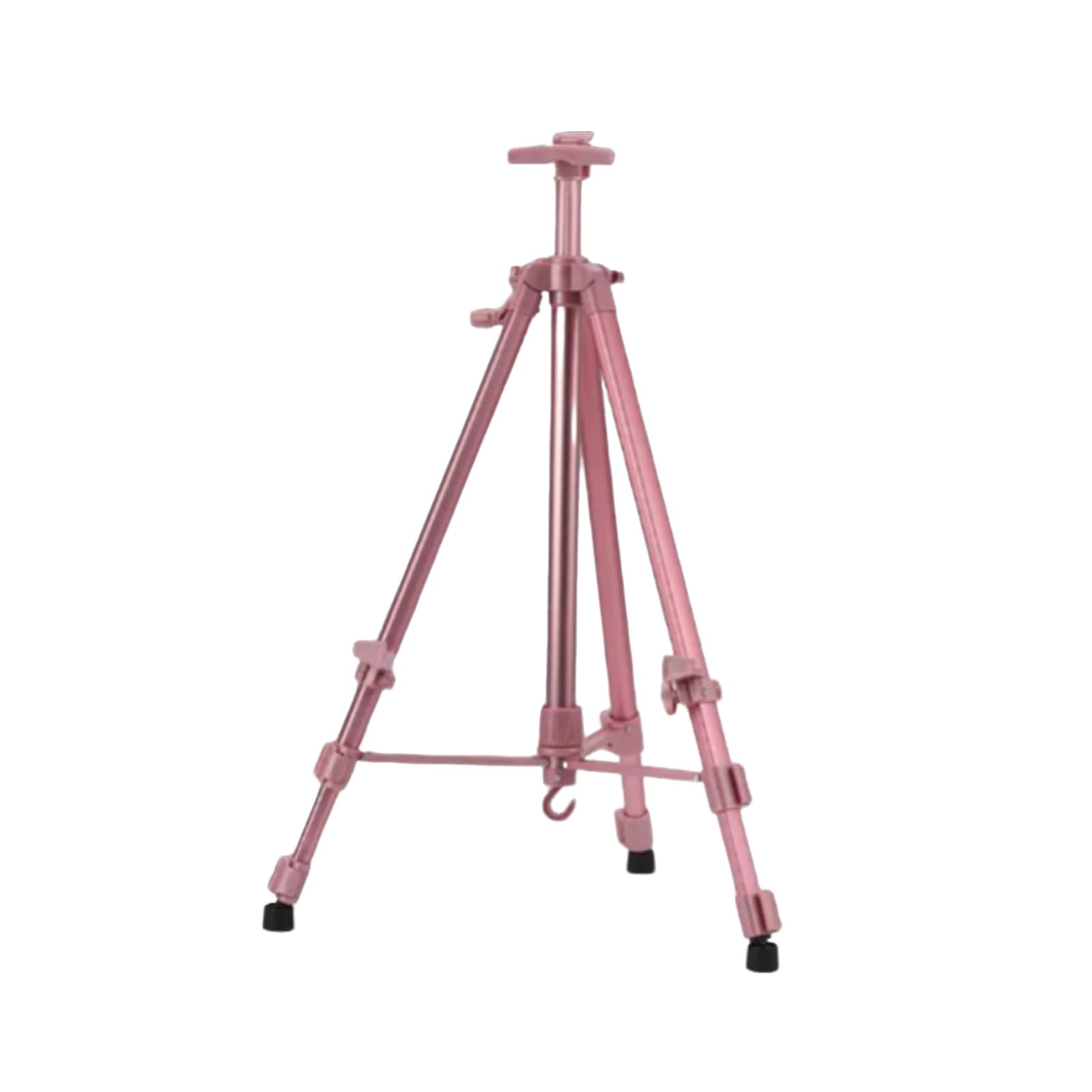 Regulowany stojak na sztalugi, sztaluga artystyczna ze statywem do malowania płótnie, przenośna podłogowa i stołowa z torbą noszenia, wyświetlania dzieł(Color3)