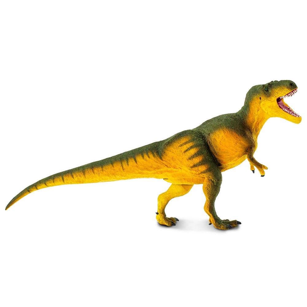 Daspletosaurus Figurine - Detailed 9" Dinosaur Figure - Educational Toy for Boys, Girls, and Kids Ages 3+