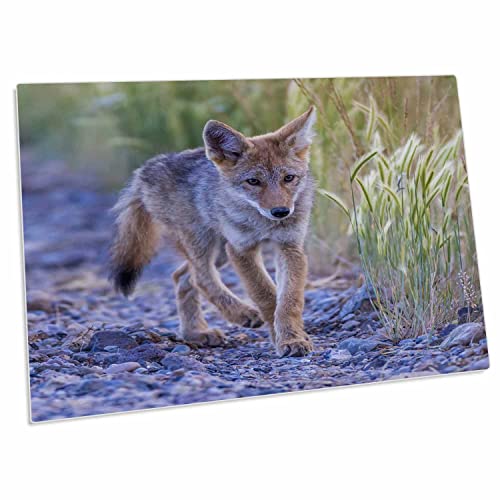 3dRose Desk Pad, 58.42x40.64 cm, Goma Antideslizante