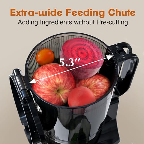 Cold Press Juicer Machines,Fretta Slow Masticating Juicers with 5.3\" Large Feed Chute Fit Whole Fruits & Vegetable Easy Clean Self Feeding Juice Extractor,Tritan Material BPA Free 250W,Stainless Steel
