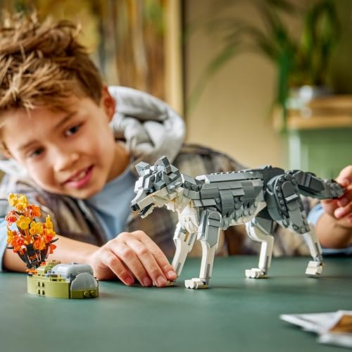 LEGO Creator Waldtiere: Wolf Spielzeug - Tierfigur mit 2 Bauoptionen - Falke oder Waschbär - DIY Deko fürs Kinderzimmer - Geburtstagsgeschenk für Mädchen & Jungen ab 8 Jahren - 31393 – Bild 3