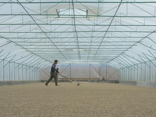 R[q[ 1kg ChlVA eEhC~ hbTO[ R