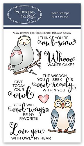 You're Owlsome Clear Stamps | Photopolymer Stamps - Clear Rubber Stamps | Animal Rubber Stamps | Stamps for Card Making