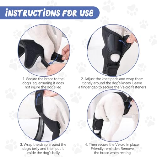 pclapora Leckschutz Hund Hinterbein, Bandage Hunds Hinterbeins Polyestermaterial, Hundes Kniebandage Hinterbein Verstellbarer, Kniebandage Hund Hinterbeins, für Kreuzbandrisse, Bänderverletzungen