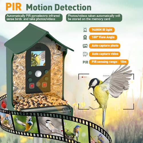Rkdely Mangiatoia Per Uccelli Con Telecamera, 1080P Hd Mangiatoia Per Uccellini Da Esterno Con Telecamera Notte E Giorno Automatico Foto E Video Giardino Mangiatoia Per Uccelli All'aperto - Verde - 2