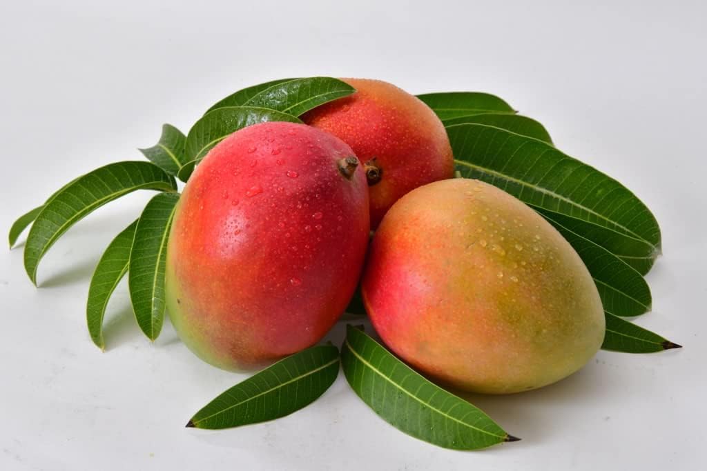 Mango fruta Pack 2kg - Mangos origen España - Compra mangos de la costa tropical de Granada. Mango nacional