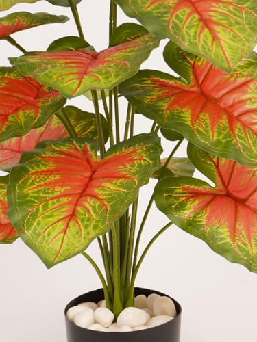 Image of ARICK Decor 2.1Ft Artificial Caladium Plant with 18 Leaves, 65cm Tall Faux Tropical Red & Green Potted Tree in Black Pot, Realistic Large Silk Heart-Leaf Fake Plant for Living Room,