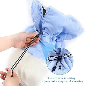 Cat Cone Collar, Adjustable Cat Recovery Collar Lightweight Waterproof Protective Cat Collar Soft Pet Recovery Collar Prevent Dogs Cats from Licking Wounds (S) Cat Cone Collar Adjustable Cat Recovery Collar Lightweight Waterproof Protective Cat Collar Soft Pet Recovery Collar Prevent Dogs Cats from Licking Wounds S