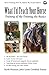 What I'd Teach Your Horse: Training & Re-Training the Basics (Horse Training How-To) (Volume 8)