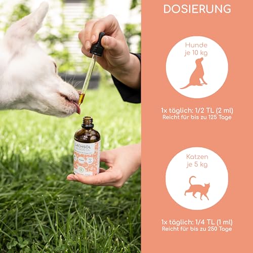 Lachsöl für Hunde und Katzen mit Omega 3 & 6 I 250ml norwegisches, natürliches Lachs-Öl aus Atlantik-Meer-Lachs I Hochdosiertes Ergänzungsmittel