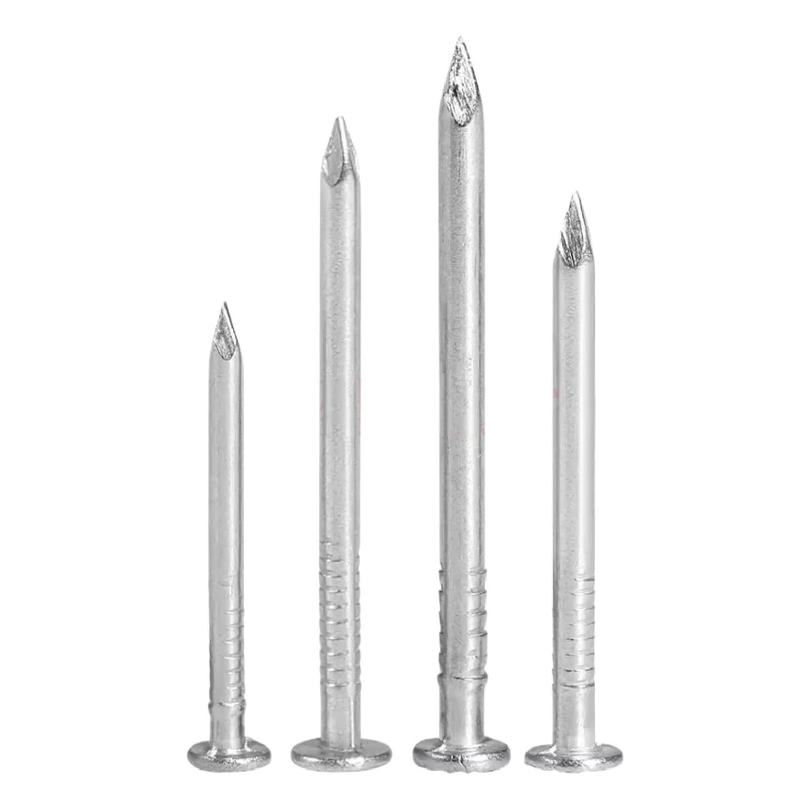 304 Stainless Steel Round Nail Carpenter Cement Wall Fastening 0.8-6 Inch（5-100Pcs ）(0.5 inch(100Pcs))