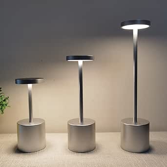 Raiseking RSJ-C002 LED Rechargeable Table lamp for Restaurant Hotel ktv ...