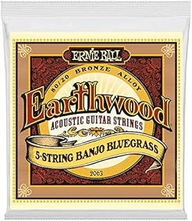 Ernie Ball Earthwood 5-String Bluegrass 80/20 Bronze Banjo Strings, 9-20 Gauge (P02063)