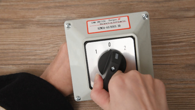 Interruttore Rotativo ON-OFF-ON 3 Posizioni 63A 660V - Universale Con Scatola - Foto 10