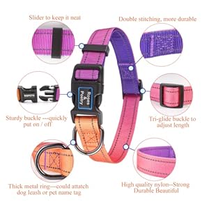 RosesPoetry-Reflective-Dog-Collar-and-Leash-Set-Purple-Martingale-Dog-Collar-and-Leash-for-Medium-Dogs-Adjustable-Durable-Nylon-Pet-Collars-with-Leashes-for-WalkingPlayingTrainingMistyrose-M - Cucciolini Doodles   RosesPoetry-Reflective-Dog-Collar-and-Leash-Set-Purple-Martingale-Dog-Collar-and-Leash-for-Medium-Dogs-Adjustable-Durable-Nylon-Pet-Collars-with-Leashes-for-WalkingPlayingTrainingMistyrose-M