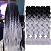 AIDUSA Ombre Colors Braiding Hair Ombre 5pcs Synthetic Braids Hair Extensions 24 Inch 2 Tone for Box Braids Crochet Braids 100g (#28 Black to Grey)