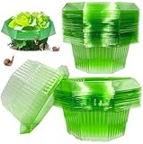 Sunshine smile 10 Stück Schneckenkragen,schneckenkragen aus Plastik,Schneckenschutz,Schneckenschutzringe,Schneckenring Garten Effektiver Schneckenschutz,Schneckenabwehr Schutzring