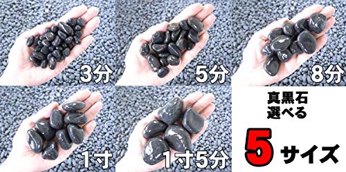 Amazon.co.jp: 真黒石 黒砂利 20kg 選べる5サイズ 28mm～35mm (1寸