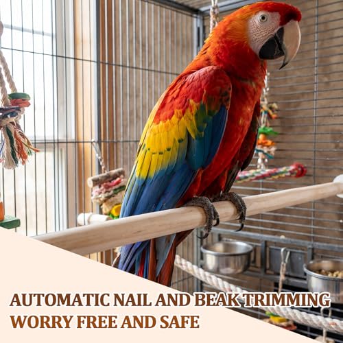 Image of Sintuff 8 Pcs Bird Perches for Cage Accessories, Wooden Perch Rods Replacement with Double Head Slots, 0.6 Inch Diameter Natural Wood Stand for Parrot Macaw Cockatoo Parakeet (30 Inches)