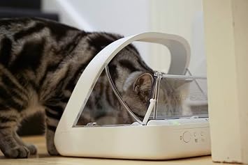 SureFeed microchip automatic feeder white