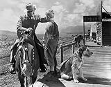 Posterazzi Shane Alan Ladd Brandon De Wilde 1953 Photo Poster Print, (14 x 11), Varies