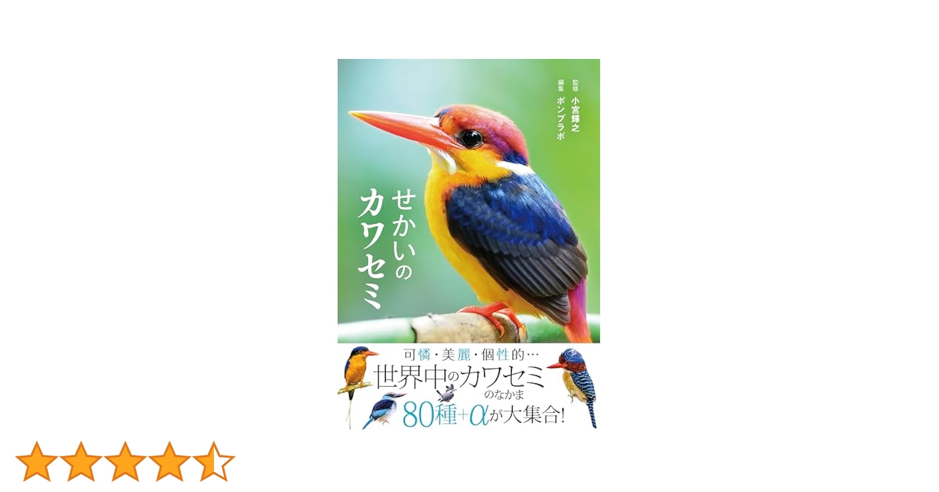 せかいのカワセミ | 小宮輝之, ポンプラボ |本 | 通販 | Amazon
