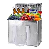 musbus 2-Pack Silver extra Insulated Grocery shopping bag, large Blue, reusable bags,Pizza,Sturdy zi