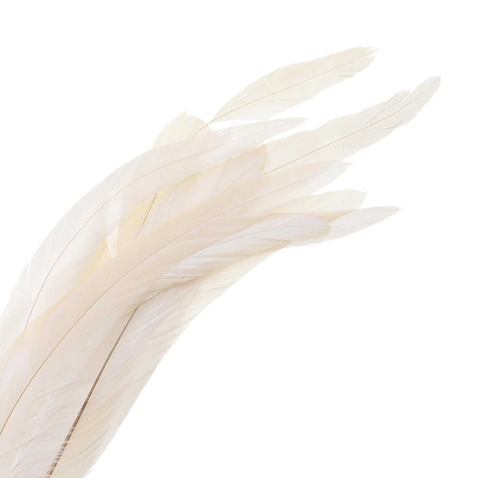 PATIKIL 10-12" Gallo Piume, 50pz Sfuso Naturale Piume per Artigianato Carnevale Lavoro Manuale Abbigliamento Costumi Matrimonio Festa Stile 1, Bianco