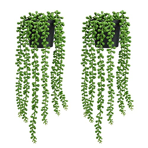 Best Fake String Of Pearls Plant The Perfect Faux Accessory For Your Home