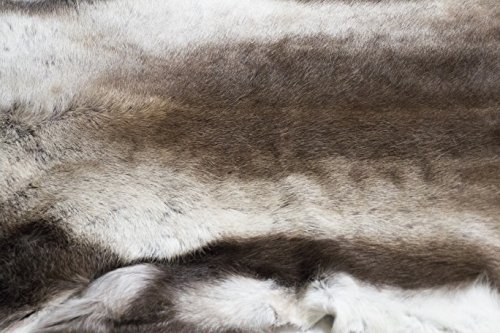 CowhidesUSA Genuine Reindeer Skin from Scandinavia - Similar to Caribou Skin, Hide, pelt, Throw, Deer Hide