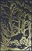 A Court of Thorns and Roses Collector's Edition