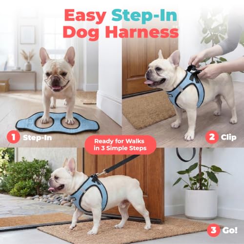 Image of Voyager Step-in Air Dog Vest Harness - Baby Blue /Black Trim, Large