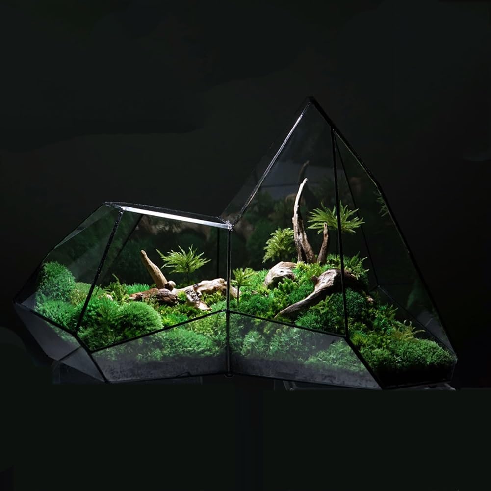 Fioriera Per Terrario, Terrario Geometrico A Forma Di Piccola Chiusura Con Porta, Geometrico Vaso Per Fiori In Vetro Contenitore,vaso In Vetro Nero Per Piante Grasse Balcone Tavolo In Miniatura ( Colo