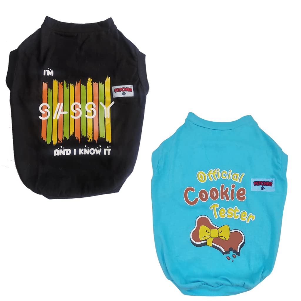 FETCHER Black and Sky Blue T-Shirt for Dogs and Cats (16" Medium)